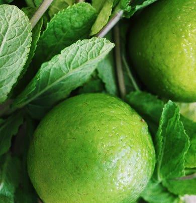 Diffusore Ambiente Ginger Lime Dr. Vranjes Firenze - Image 10